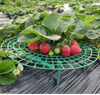 园艺塑料草莓生长支架